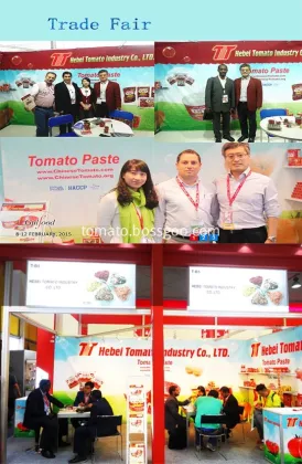 Traditional Tomato Paste for Turkish Market