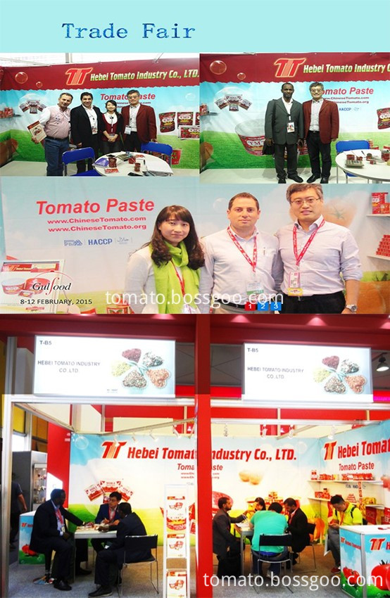 exhibition abroad-Gulfood