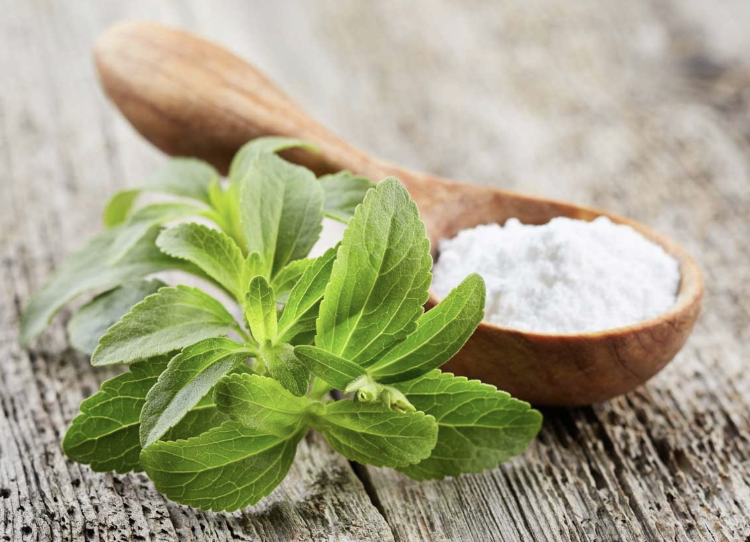 Stevia Extract Powder Supplier