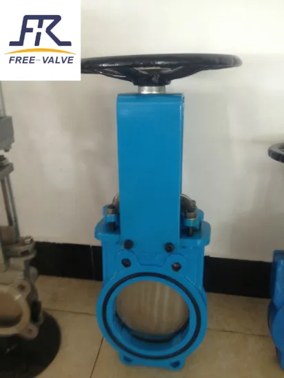 Bi-directional knife gate valve
