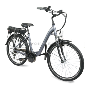 36V 10Ah Lithium Battery for E-Bike and Electric Bicycle