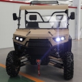 4 * 4 2 plazas UTV / ATV (10.5KW)