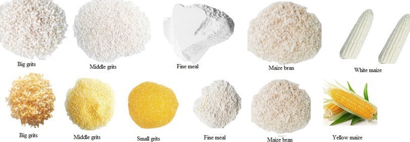 MAIZE-FLOUR-GRIT