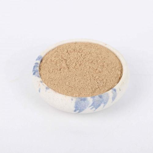 Shiitake champiñón en polvo de calidad premium