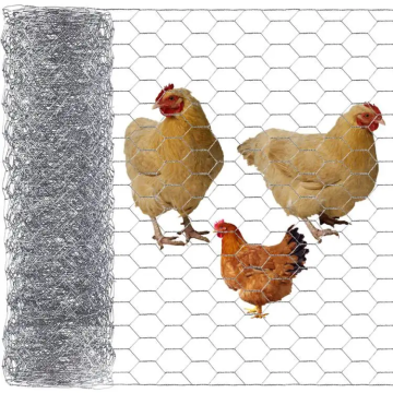 Wholesale High-Quality Chicken Wire Mesh Rolls and Hexagonal Wire Netting