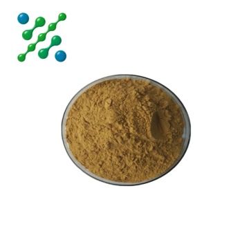 High Purity Curcumin Extract Powder