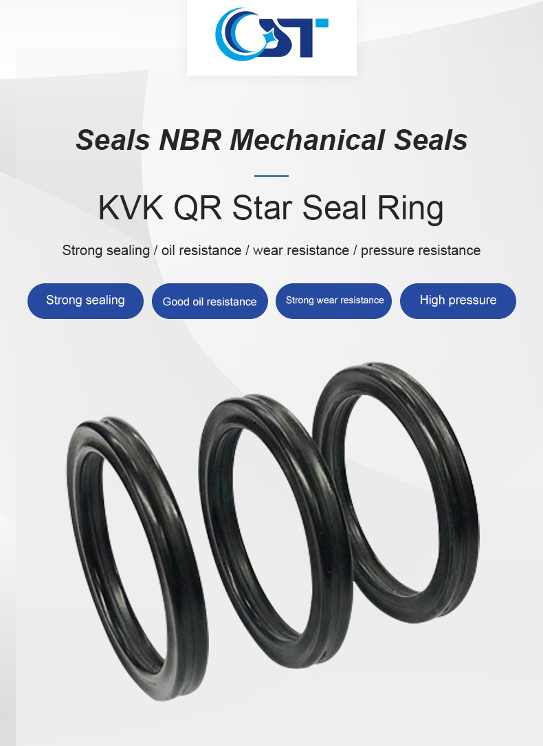 Nbr Kvk Qr Star Seal Ring