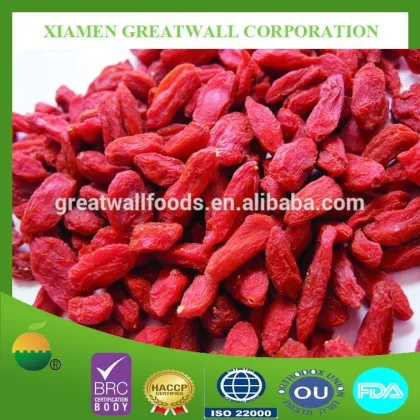 High quality dried goji berries with best price/ natural goji berry