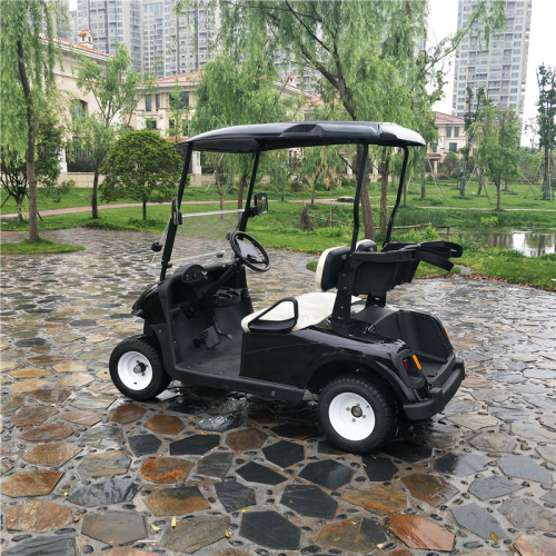 chất lượng tốt xe golf ga 300cc hai chỗ ngồi