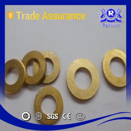 X2CrNi19-11 Stainless Steel Nord Lock Washer