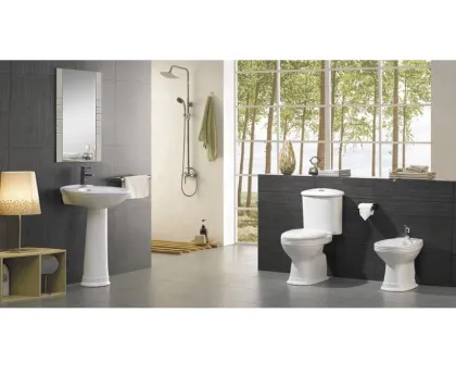 Wholesale Ceramic Bathroom Suite: Sanitary Ware Toilet Set