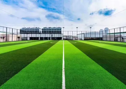 Synthetic Lawn Artificial Grass Astro Soccer Natural Turf