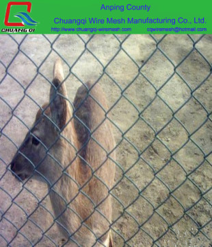 pvc coated metal fence for zoo
