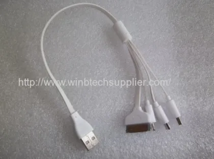 4in1 Usb Cable For Iphone Ipad Samsung Htc Apple Blackberry Etc. 