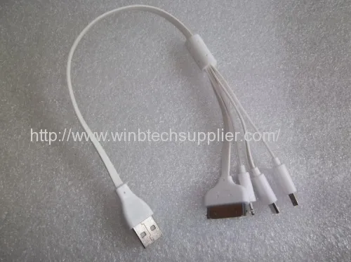 4in1 Usb Cable For Iphone Ipad Samsung Htc Apple Blackberry Etc. 