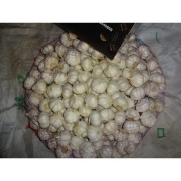 Kaufen Sie Pure White Garlic 2020