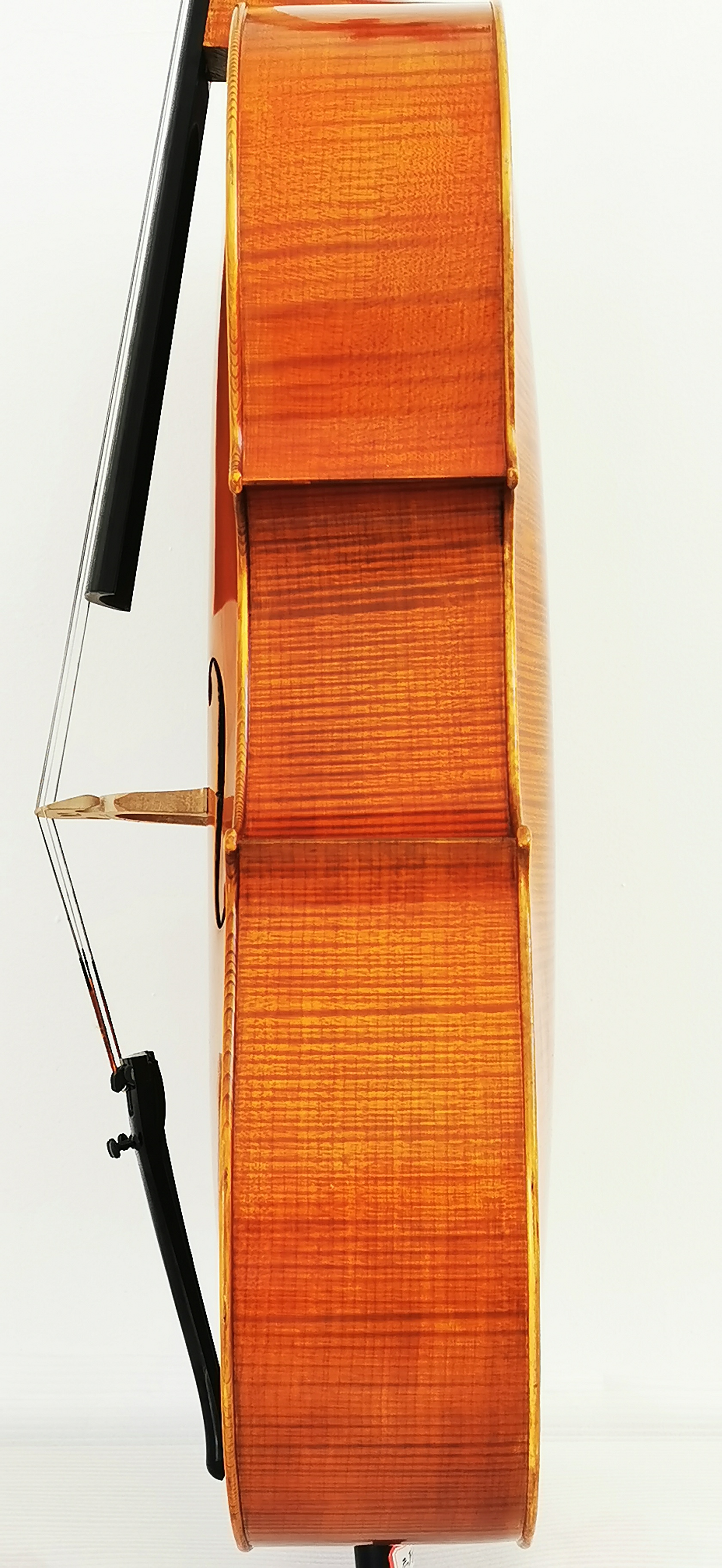 Cello-JM-COA-21-3