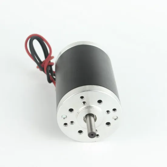 12V 24V 48V Permanent Magnet Brush DC Motor 80ZYT01A