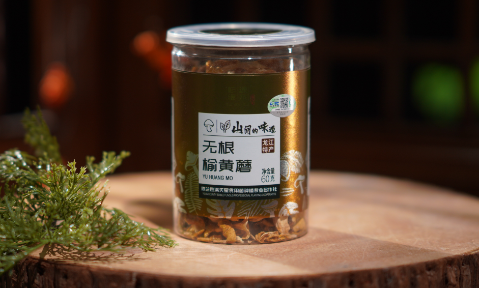 Elm Yellow Mushroom2