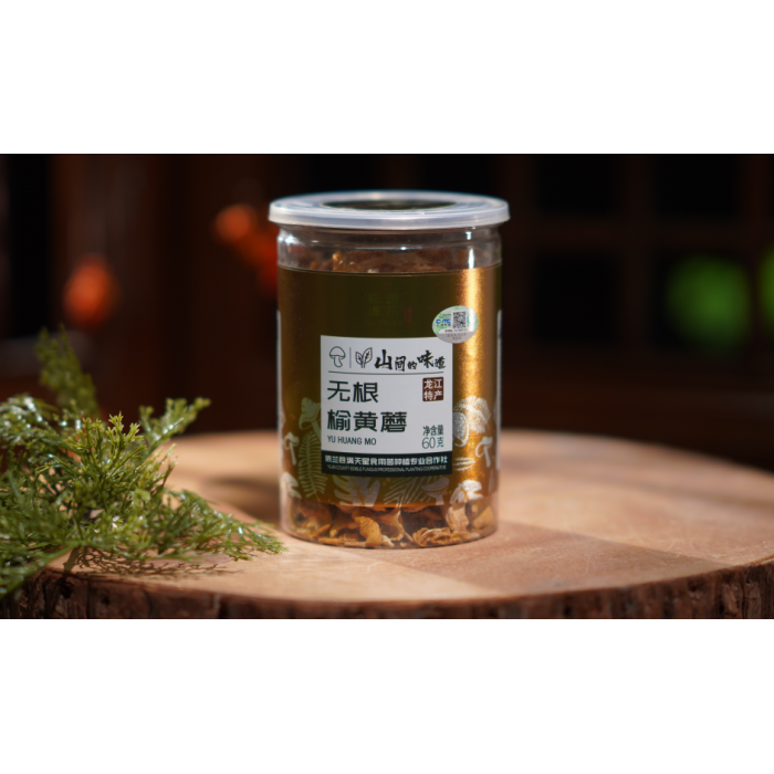 Cogumelos Amarelos Secos de Olmo