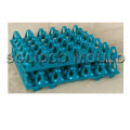 High quality new-design plastic egg tray injection mould