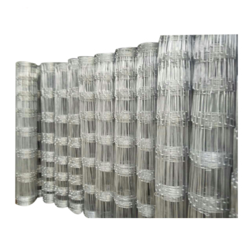 Farm Security Fixed Knot 2.5m Galvanized GripLock Wire Fencing