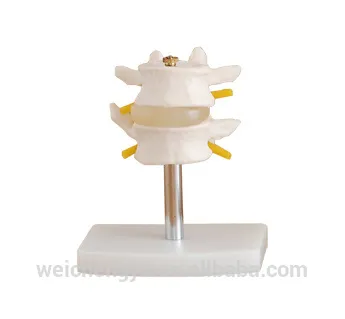 Lumbar Set (2 pieces)