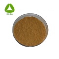 Nettle Root Extract Powder Herbal Natural Ingredients