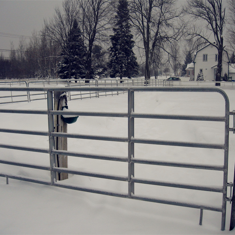 Galvanized  horse  fence panel