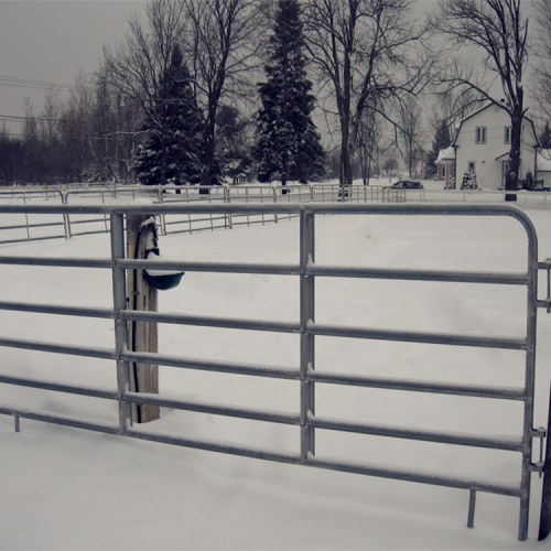 Voller geschweißter heißer Bad galvanisierter Stahl-Corral Fence