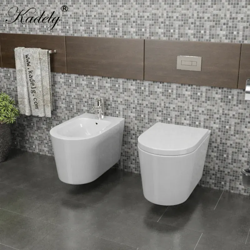 CE Standard Wall Hung Ceramic Toilet Set Round Bathroom Toilet Sanitary Ware

**Title:** Wall-Hung Ceramic Toilet with CE Standard