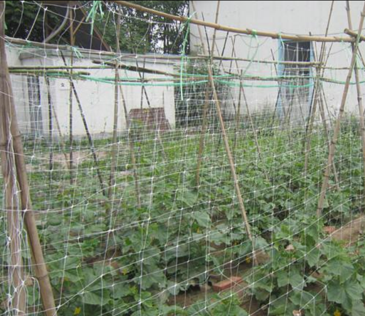 Red de soporte de plantas de plástico