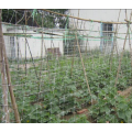 Red de soporte de plantas de plástico