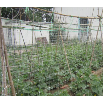 Plastic Plant Support Net