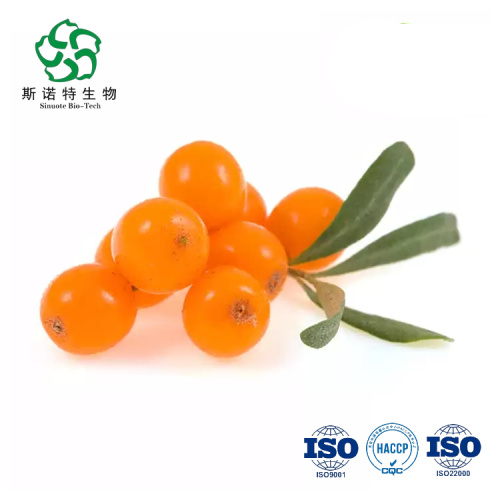 Water Soluble Sea Buckthorn Extract Powder