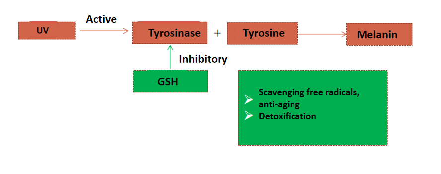 Glutathione powder (4)