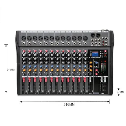 Professional 12-Channel DSP Audio Echo Sound Console with USB Mixing Technology: High-Quality Audio Processing Console