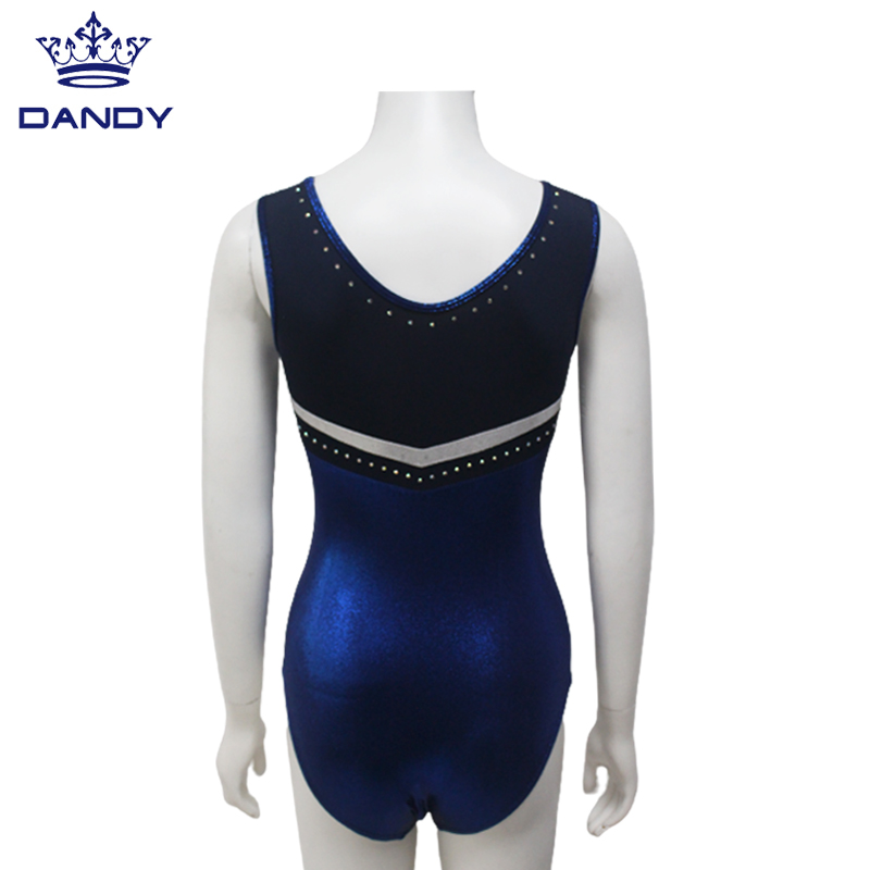 Blue Leotards 2