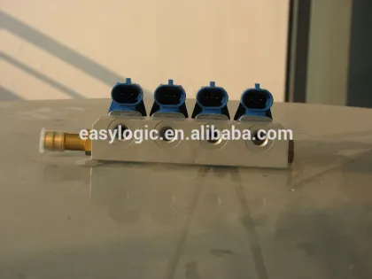 CNG/GNC INJECTION NOZZLE