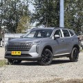 2024 Haval H6 Pro Edition 1.5T Platinum