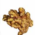  black wolfberry extract Water Soluble Pure Organic Ginger Extract Powder Factory
