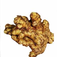 Pure Organic Ginger Extract Water Soluble Pure Organic Ginger Extract Powder Factory