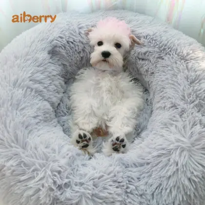 Best Small Pet Furniture Beds Sofa Accessories