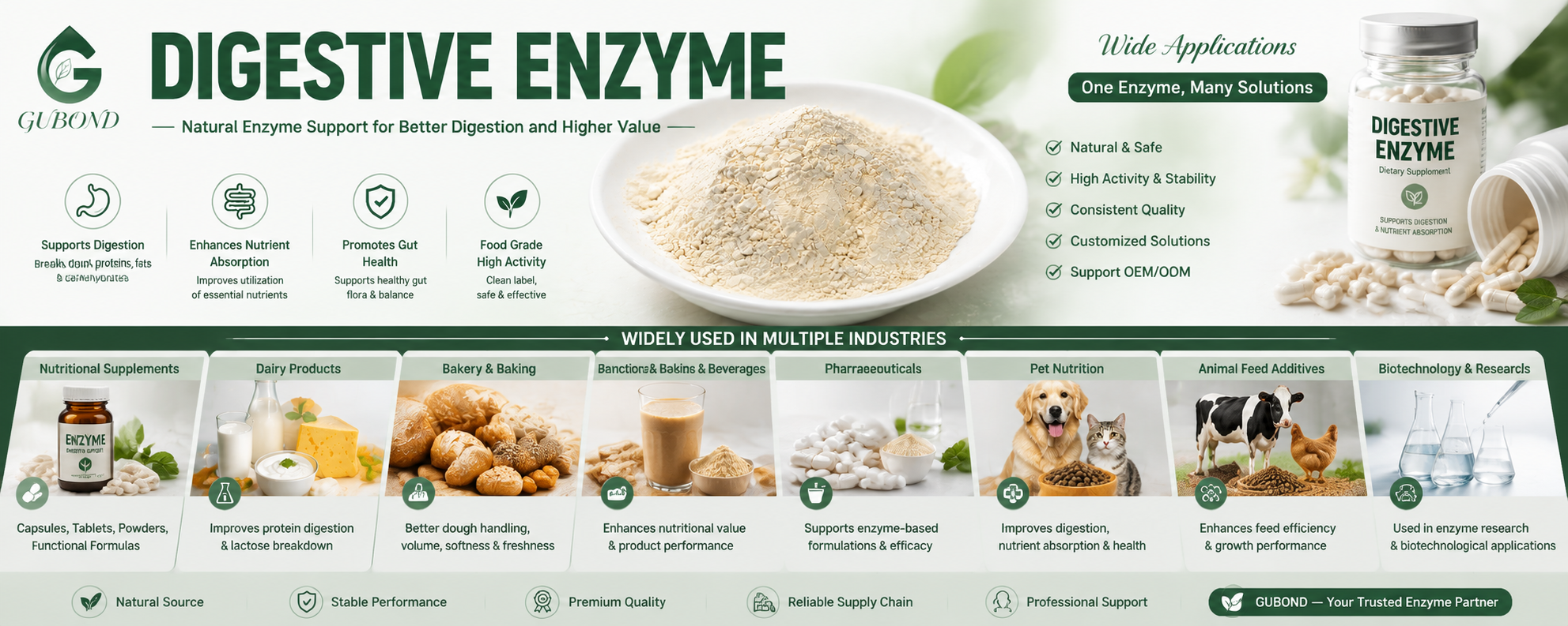 Digestive Enzyme (6)