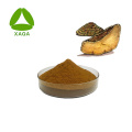 Phellinus Linteus polysaccharide 30 ٪ Sanghuang Extract