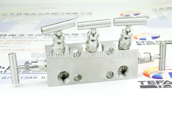 Stainless Steel 5 way valve manifolds, valve manifold