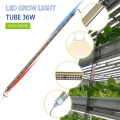 T8 36W Tube Red Blue Grow Light LED