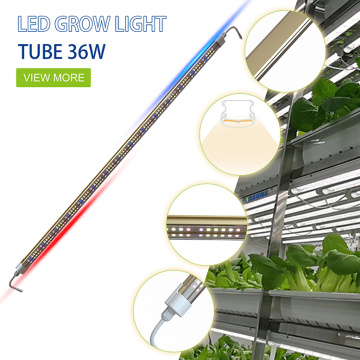 T8 36W หลอดสีแดงสีน้ำเงินกริ่งไฟ LED