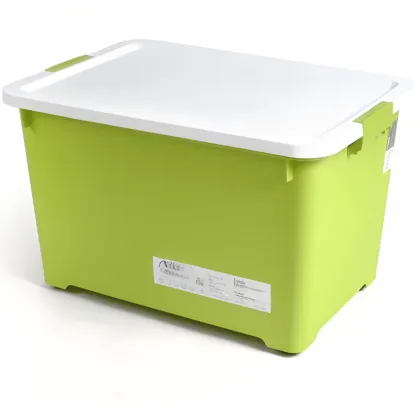 TIANSU Plastic injection molding auto