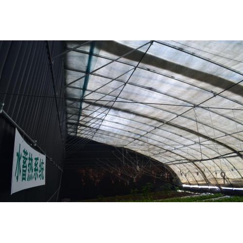 Energy Conservation Green House Energy Saving Greenhouse Factory